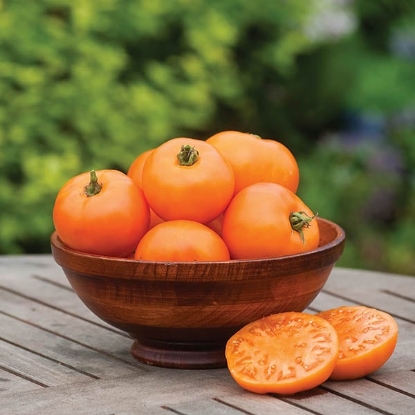 Picture of Tomato Orange Wellington F1